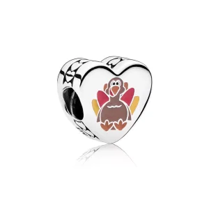 (resim) Pandora Senin için şükrediyorum Charm - ENG792015_10
