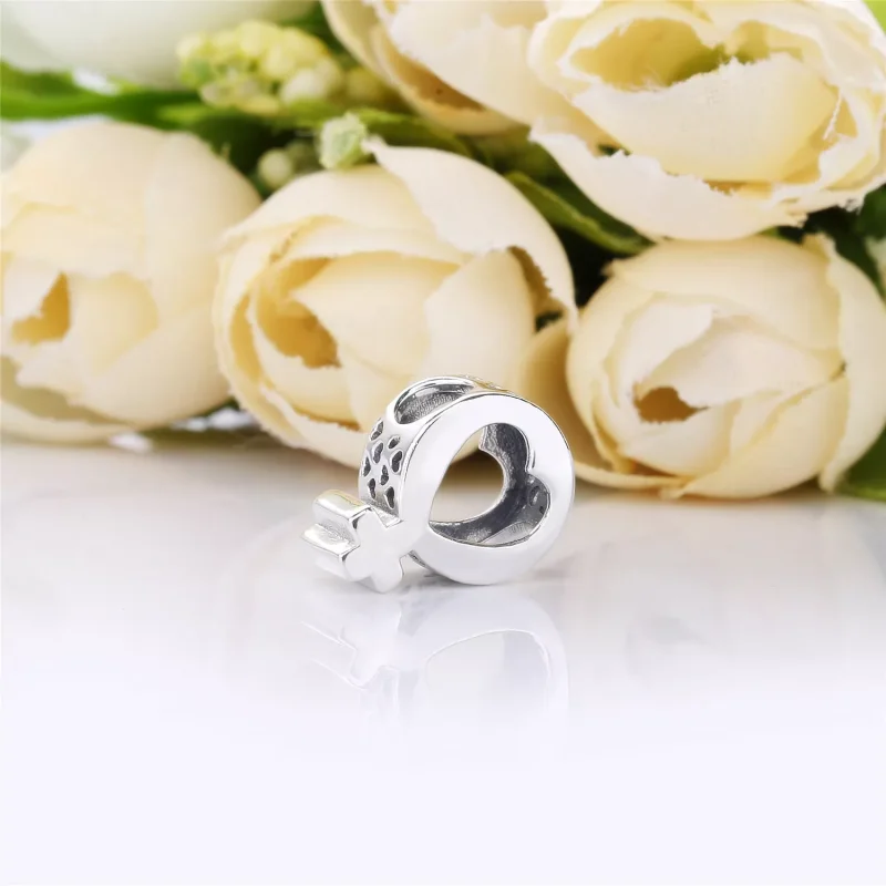 (resim) Pandora kadın sembolü Charm - 797903 - Görüntüle 4