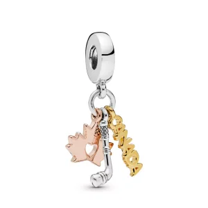 (resim) Pandora Kanada Sallantılı Charm - 798028