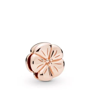 (resim) Pandora Reflexions charm, Romantik Çiçek - 787897