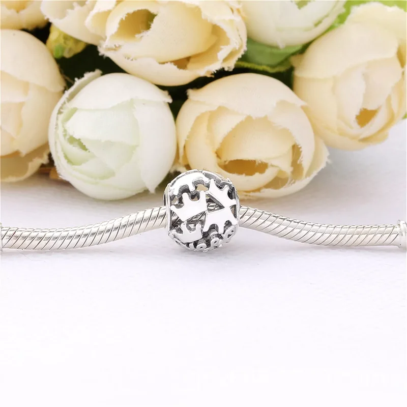 (resim) Pandora Kraliçe & Regal Charm - 798354 - Görüntüle 4