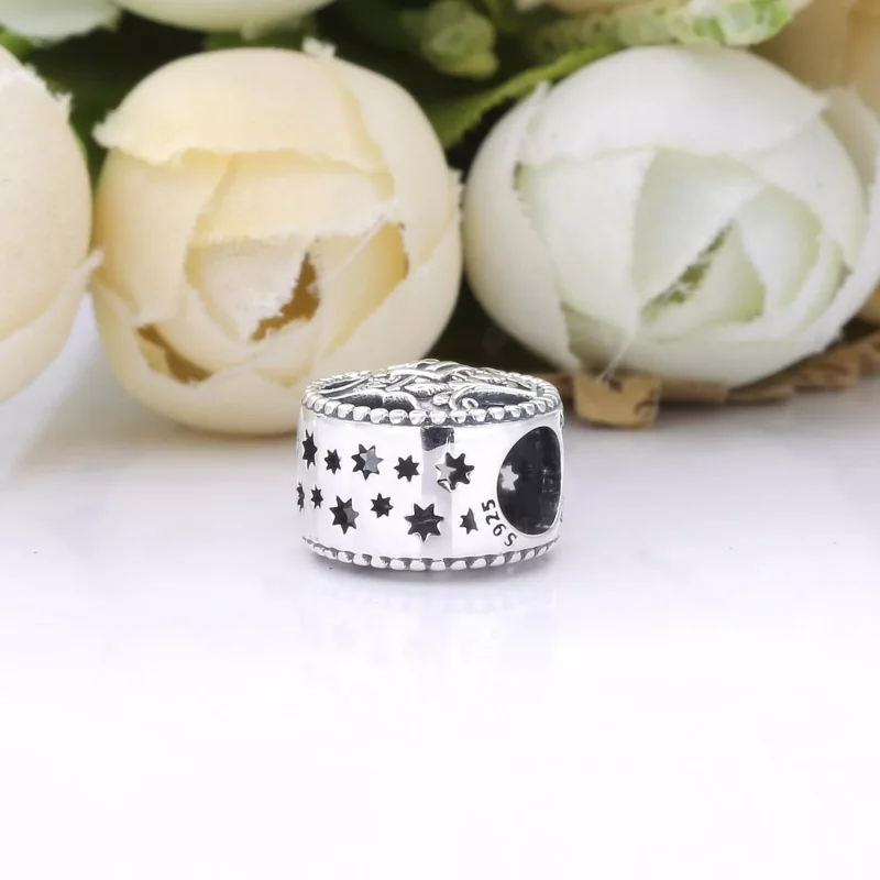 (resim) Pandora Harry Potter, Hogwarts Cadılık ve Büyücülük Okulu Charm - 798622C00 - Görüntüle 7