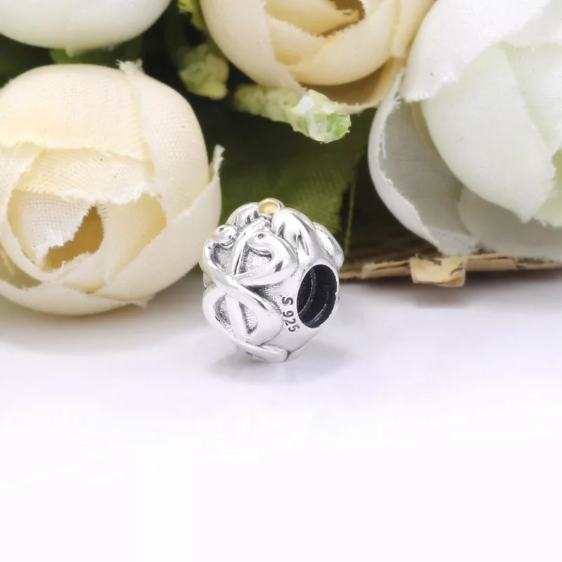(resim) Pandora iki renkli Tıbbi Charm - 791042 - Görüntüle 2