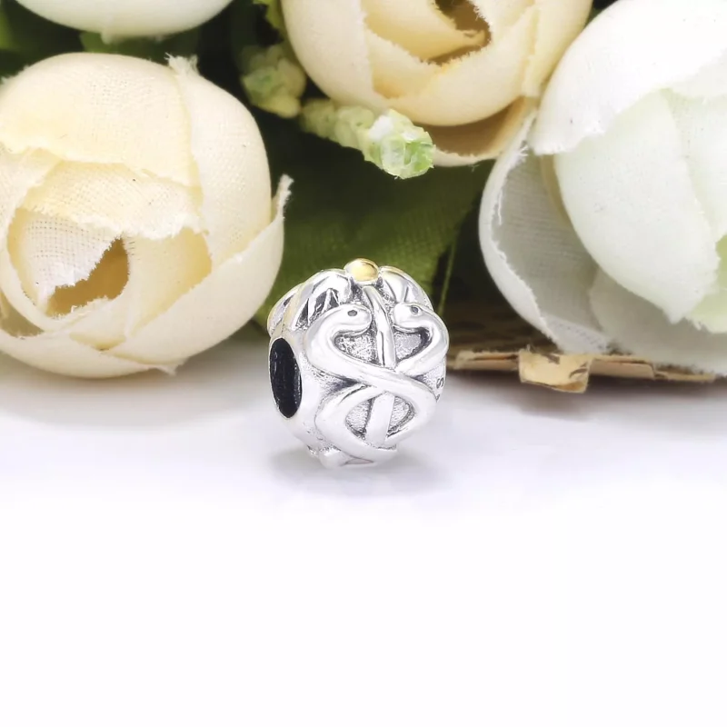 (resim) Pandora iki renkli Tıbbi Charm - 791042 - Görüntüle 3