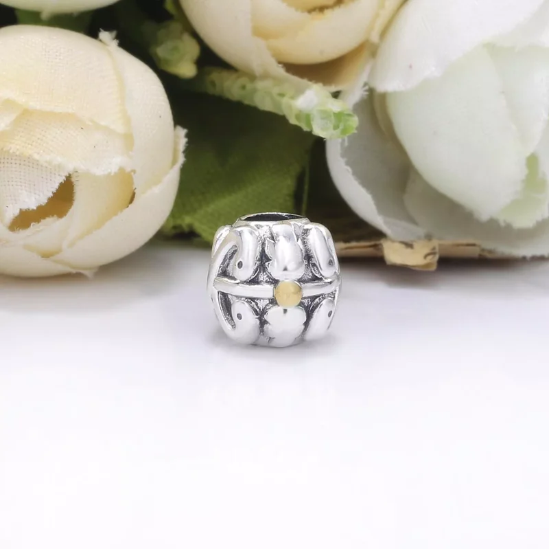 (resim) Pandora iki renkli Tıbbi Charm - 791042 - Görüntüle 4