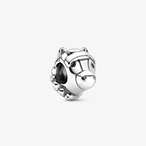 (resim) Pandora At Charm - 799074C01