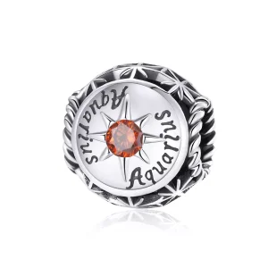 (resim) Pandora tarzı Parlayan Kova Charm - SCC1725-11