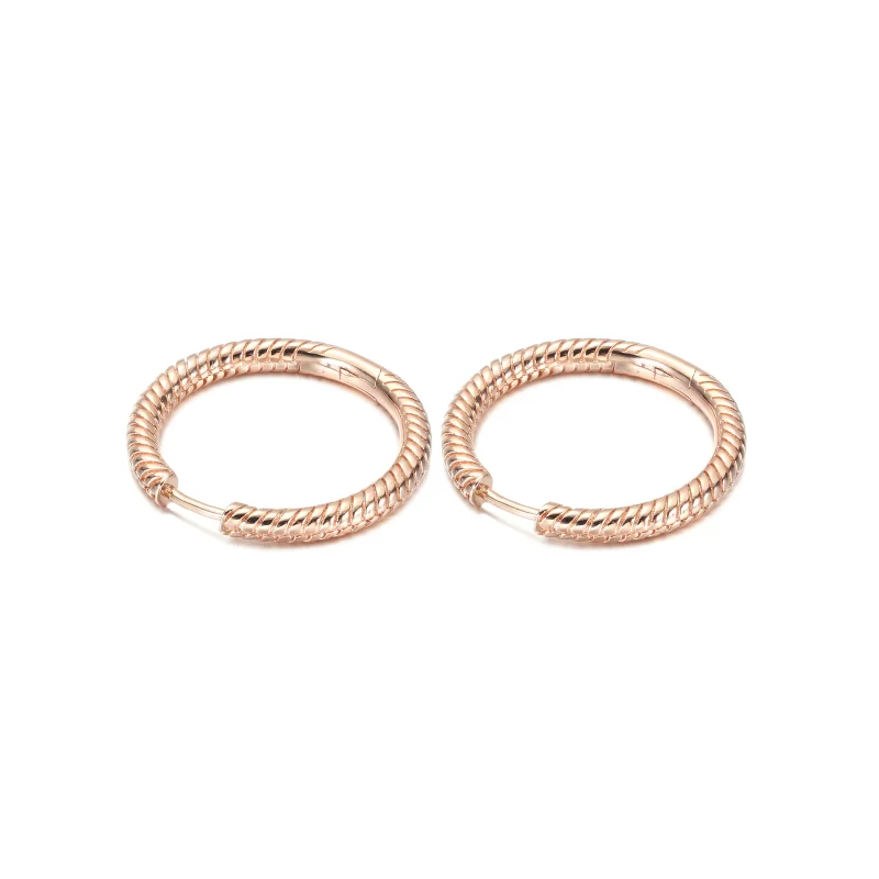 (resim) Pandora Moments Charm Halka Küpe - 289532C00 - Görüntüle 3
