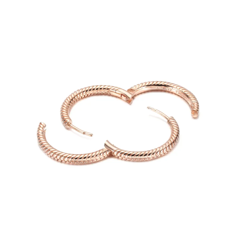 (resim) Pandora Moments Charm Halka Küpe - 289532C00 - Görüntüle 4