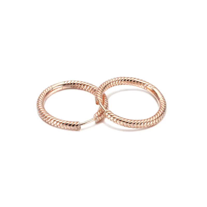 (resim) Pandora Moments Charm Halka Küpe - 289532C00 - Görüntüle 5