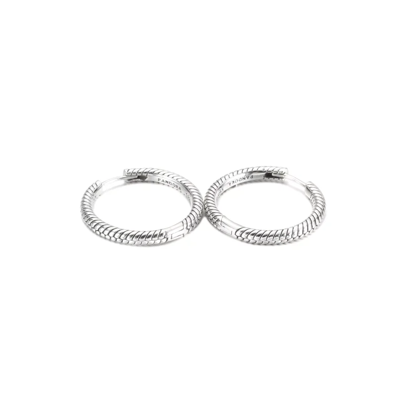(resim) Pandora Moments Charm Halka Küpe - 299532C00 - Görüntüle 4