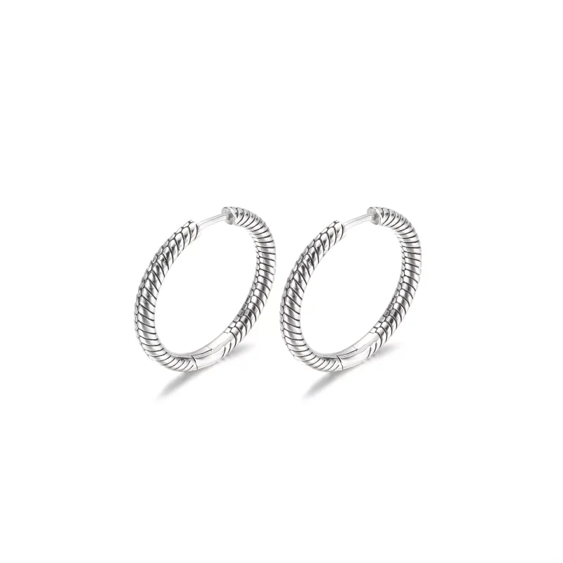(resim) Pandora Moments Charm Halka Küpe - 299532C00 - Görüntüle 5