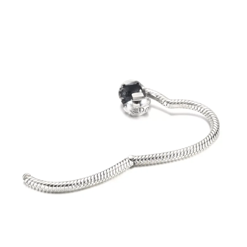 (resim) Pandora Moments Kalp Charm Taşıyıcı - 399505C00 - Görüntüle 5
