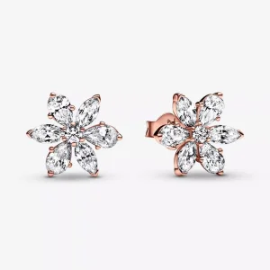 (resim) PANDORA Parlak Herbarium Küme Küpe - 282407C01