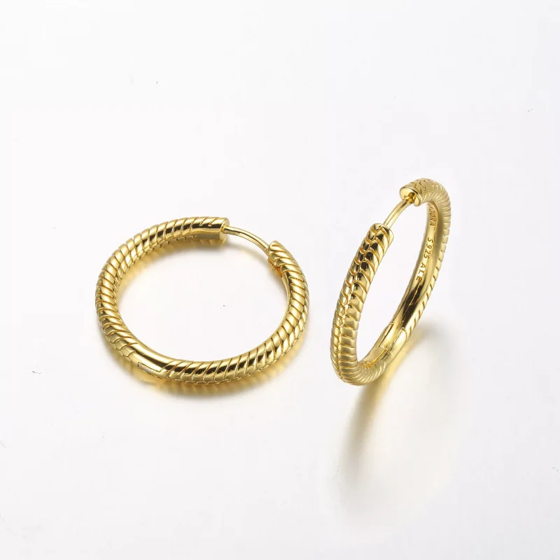 (resim) Pandora Moments Charm Hoop Küpe - 269532C00 - Görüntüle 3