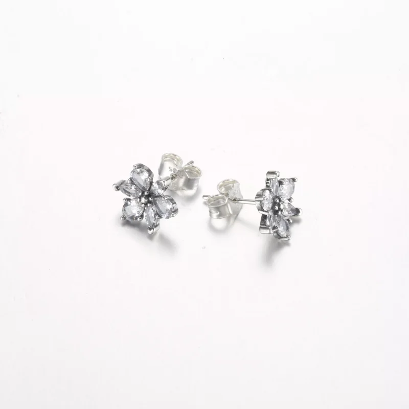 (resim) Pandora Parlak Herbarium Küme Yıldız Küpe - 292633C01 - Görüntüle 5