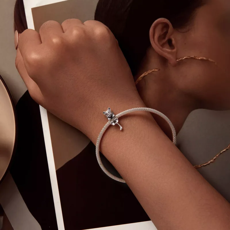 (resim) Pandora Tarzı Vaşak Şansı - SCC2633 - Görüntüle 5