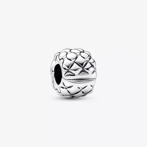 (resim) Pandora Zımbalı Klips Charm - 792746C00