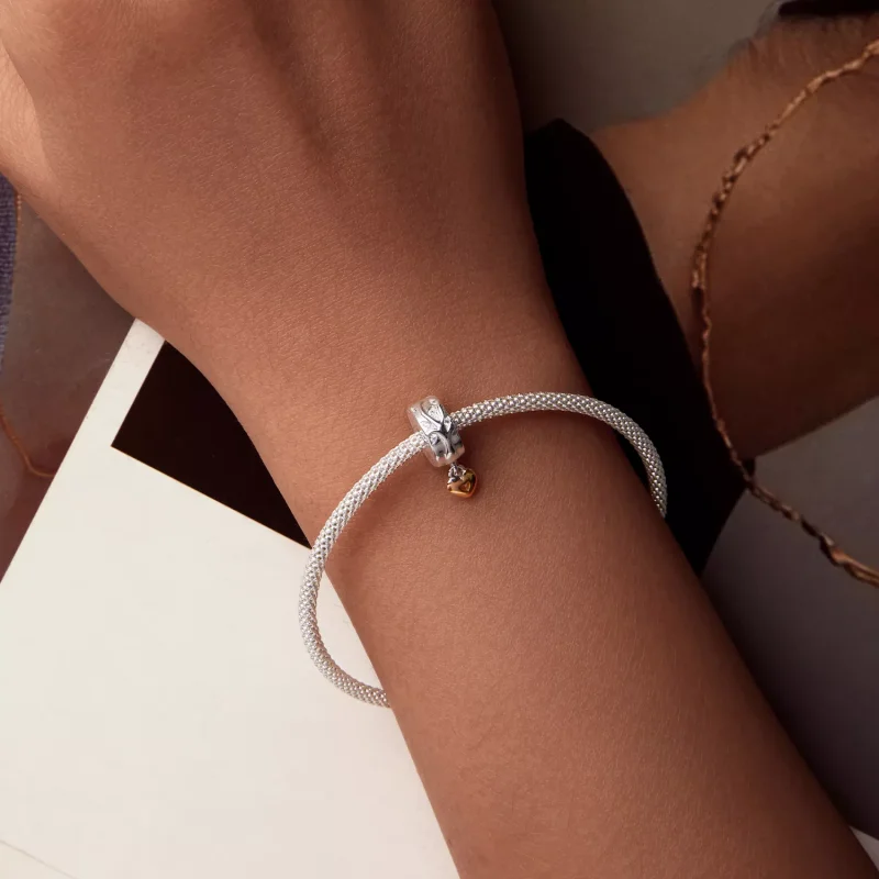 (resim) PANDORA Stil Hayat Ağacı Konumlandırma Toka Charm'ı - BSC1003 - Görüntüle 6
