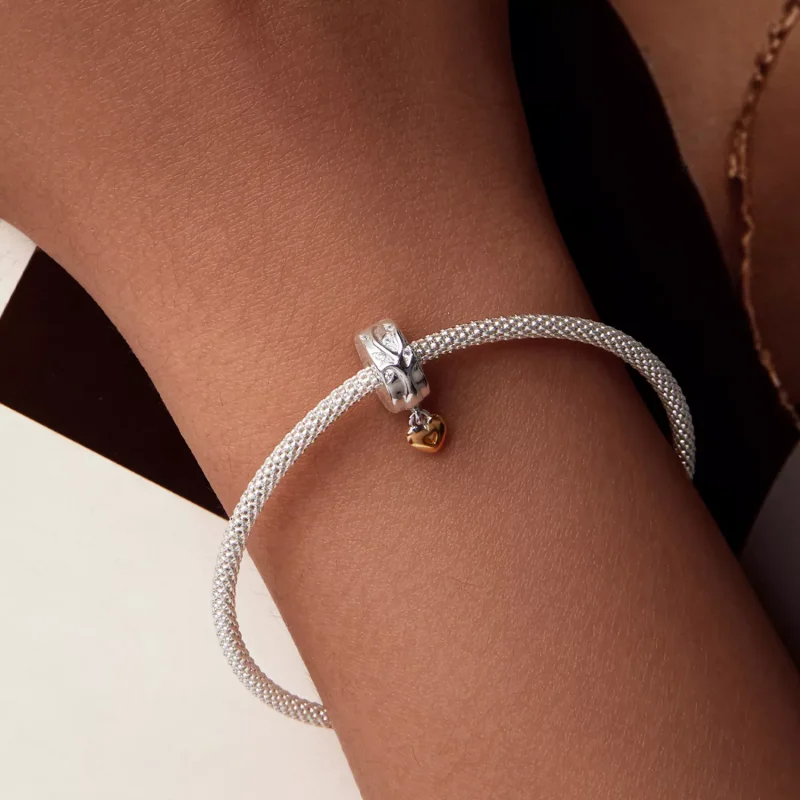 (resim) PANDORA Stil Hayat Ağacı Konumlandırma Toka Charm'ı - BSC1003 - Görüntüle 7