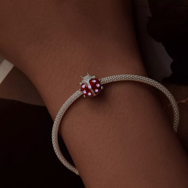 (resim) PANDORA Tarzı Karanlıkta Parlayan Uğur Böceği Charm'ı - SCC2735 - Görüntüle 5