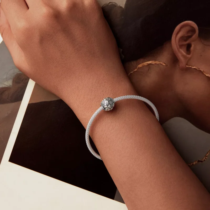 (resim) PANDORA Stil Aşk Charm'ı - SCC2777 - Görüntüle 6