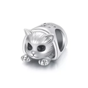 (resim) PANDORA Tarzı Rahat Kedi Evi cazibesi - SCC2797