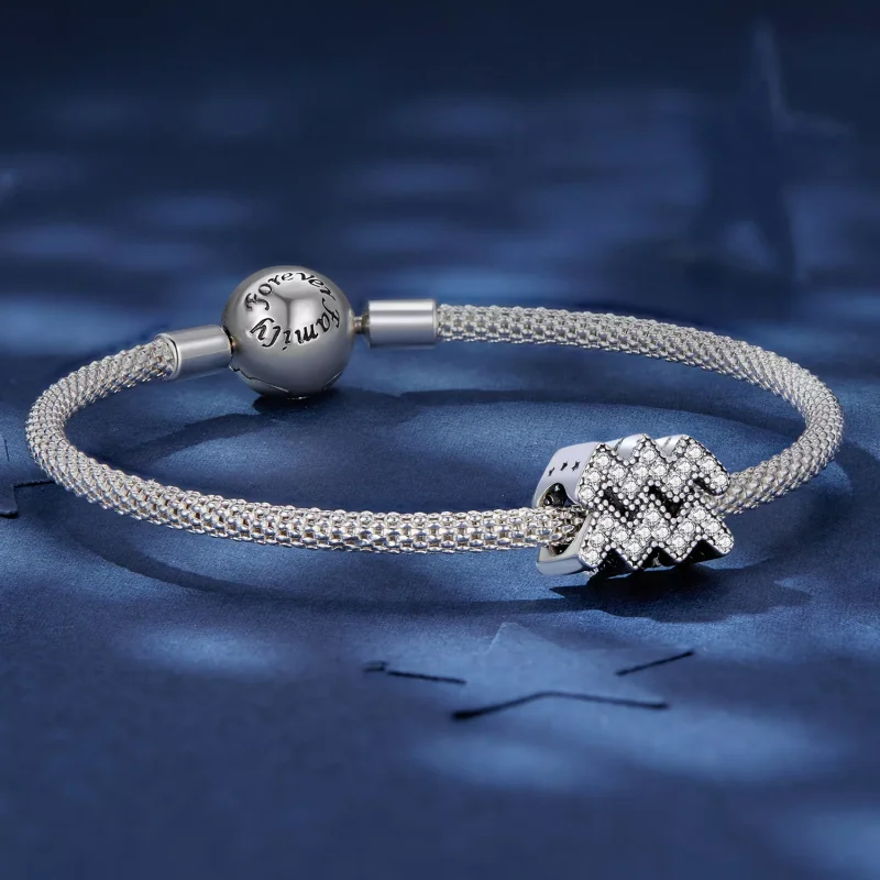 (resim) Pandora Stili Kova Burcu Şanslı Takı Küpesi - SCC2516-12 - Görüntüle 5