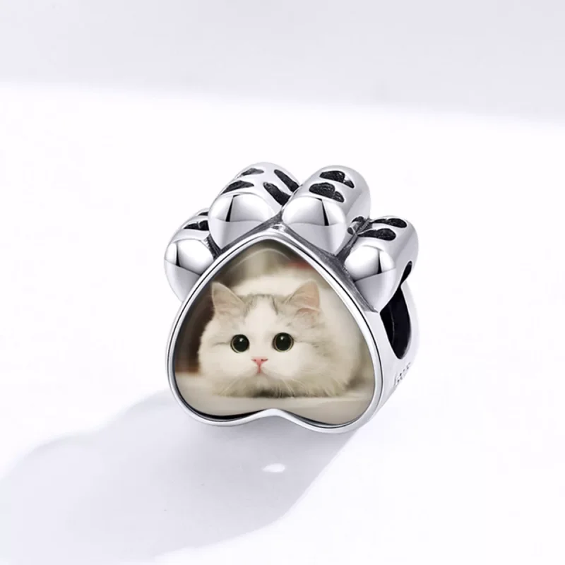 (resim) Pandora Stili Kedi Patisi Kişiselleştirilmiş Fotoğraf Şarmı - SCC1436 - Görüntüle 2