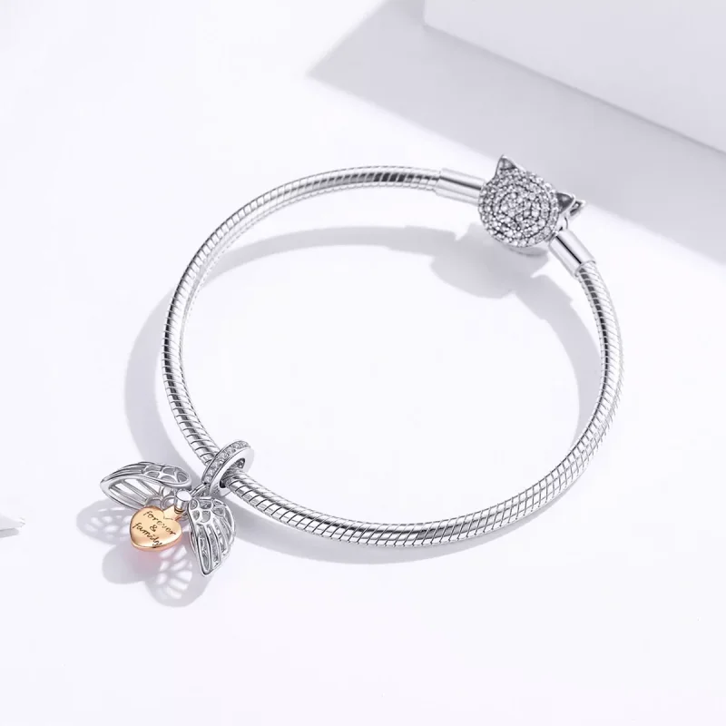 (resim) Pandora tarzı iki renkli Sonsuza kadar aile Sallantılı Charm - SCC1299 - Görüntüle 4