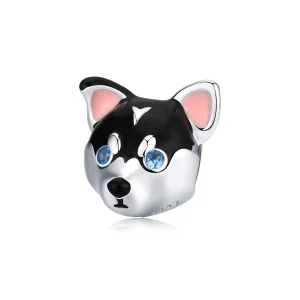 (resim) Pandora tarzı Köpek yavrusu Charm - BSC191