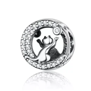 (resim) Pandora tarzı mutlu kedi yavrusu Charm - SCC1203