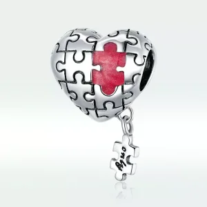 (resim) Pandora tarzı Otizm Charm - SCC1635