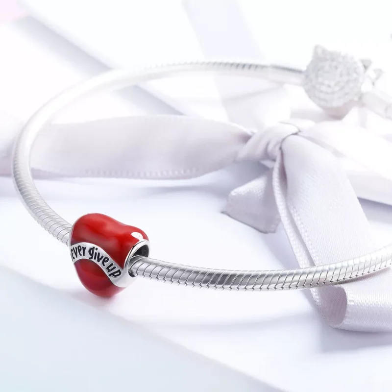 (resim) Pandora tarzı pes etme Charm - SCC808 - Görüntüle 4