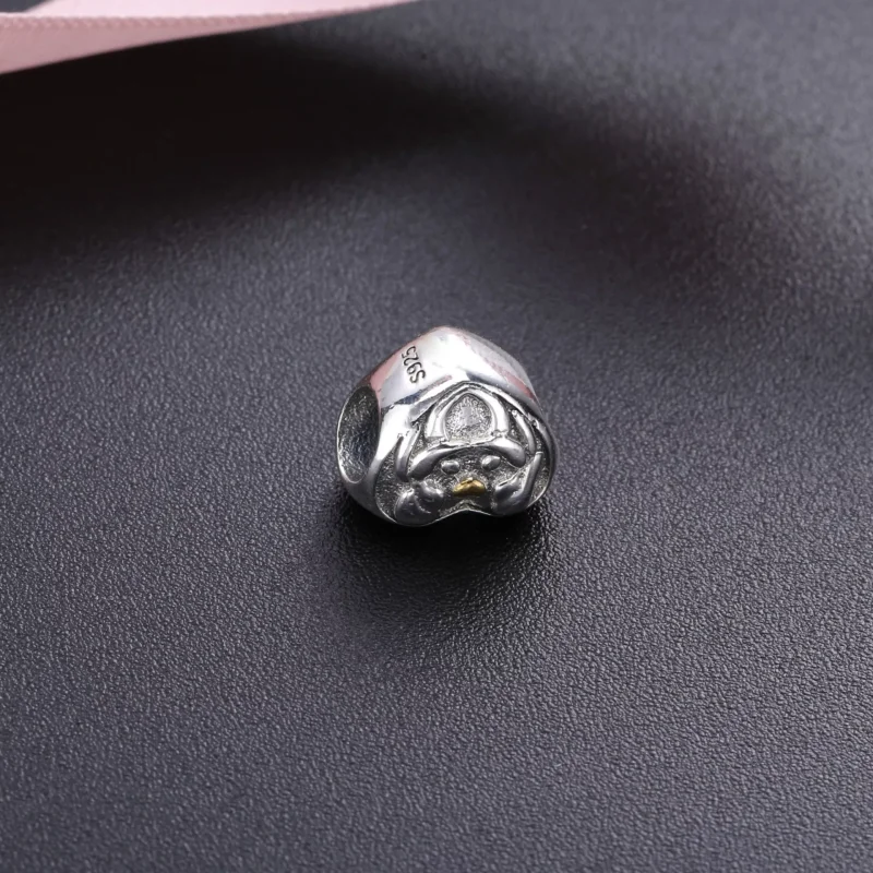 (resim) Pandora Charm, Ailenin Kalbi - 791771 - Görüntüle 3