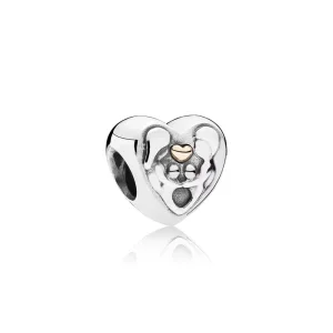 (resim) Pandora Charm, Ailenin Kalbi - 791771