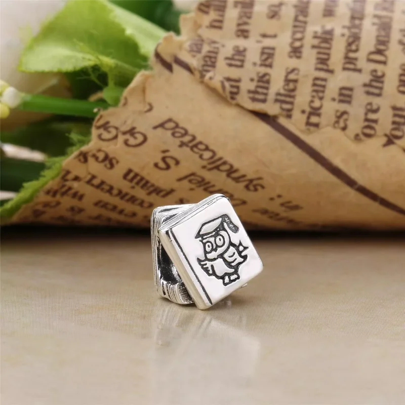 (resim) Pandora Charm, Çalışma Kitabı - 790536 - Görüntüle 2
