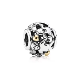(resim) Pandora Charm, Canım Ailem - 791040