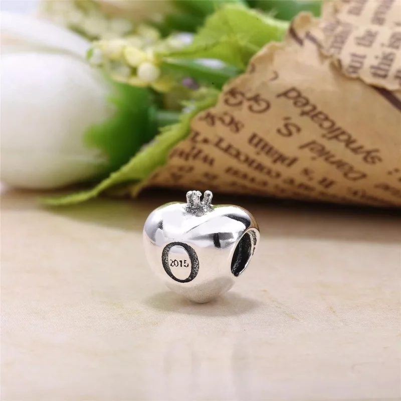 (resim) Pandora Charm, Club Charm 2015, Pandora club 2015 silver charm, - Görüntüle 3