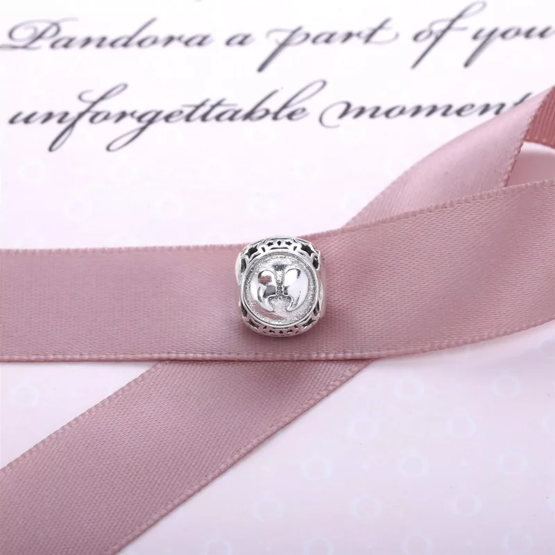 (resim) Pandora Charm, İkizler - 791938 - Görüntüle 3