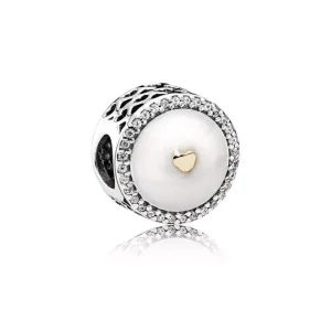 (resim) Pandora Charm, Kıymetli Kalp - 792073EN23