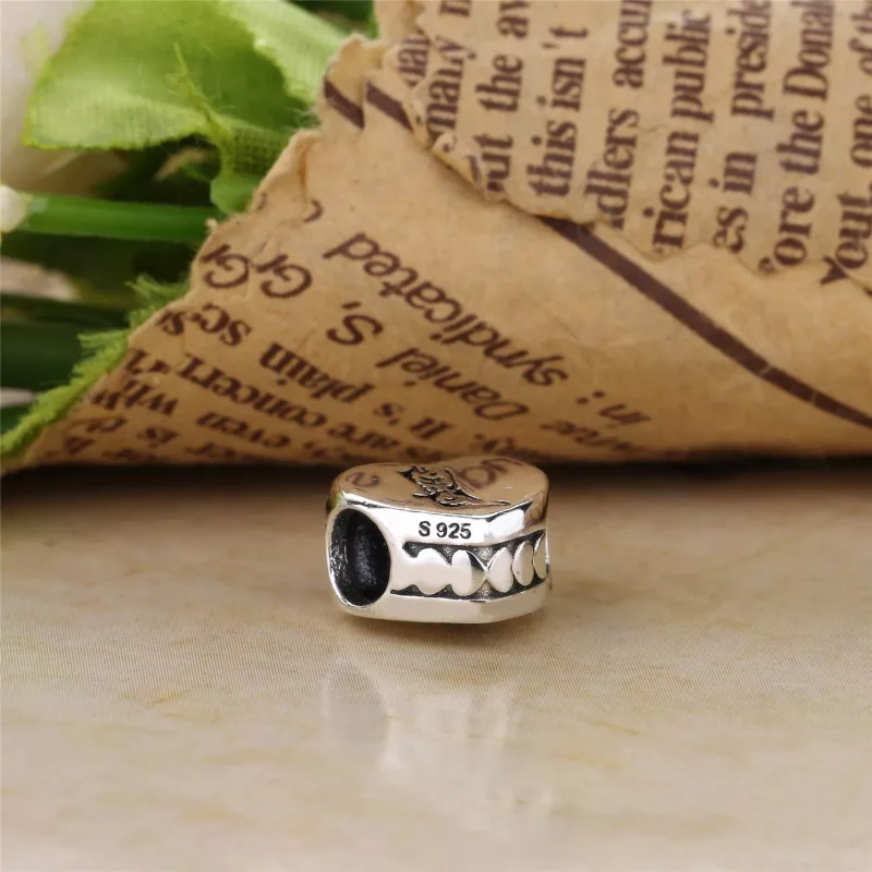 (resim) Pandora kalpte önyükleme Charm - PS00178-1 - Görüntüle 3