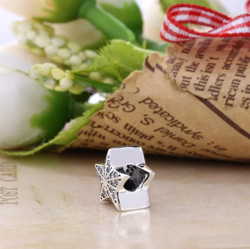 (resim) Pandora Yıldız Charm - PX00283-1 - Görüntüle 3