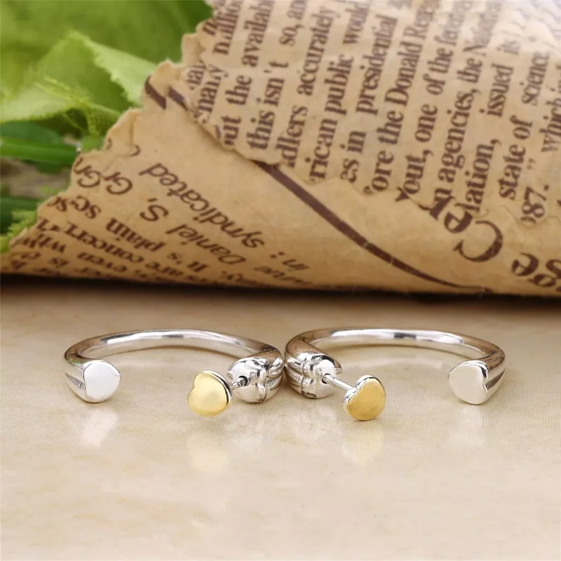 (resim) Pandora Çi̇vi̇ küpeler, Çift Kalp - 296576 - Görüntüle 4