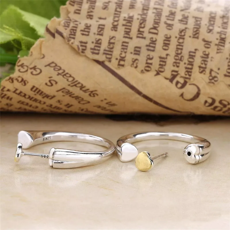(resim) Pandora Çi̇vi̇ küpeler, Çift Kalp - 296576 - Görüntüle 5