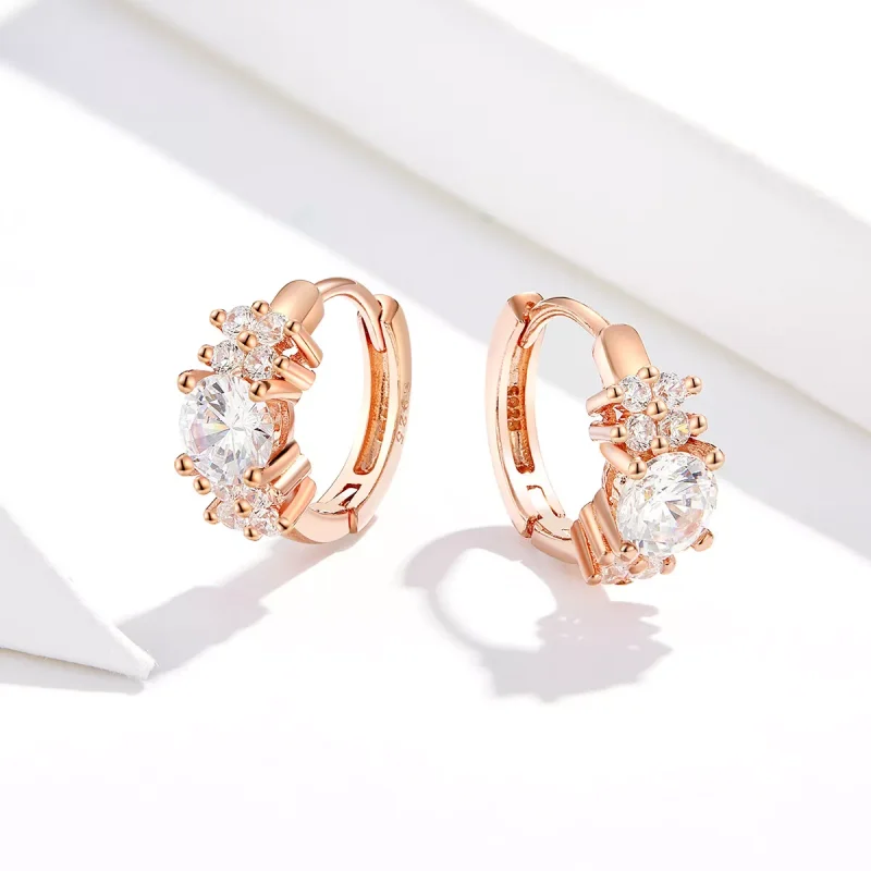 (resim) Pandora tarzı 14 ayar pembe altın Romantik Parlaklık Halka Küpe - SCE485-C - Görüntüle 2