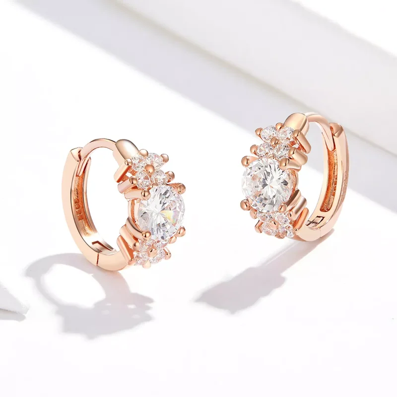 (resim) Pandora tarzı 14 ayar pembe altın Romantik Parlaklık Halka Küpe - SCE485-C - Görüntüle 3
