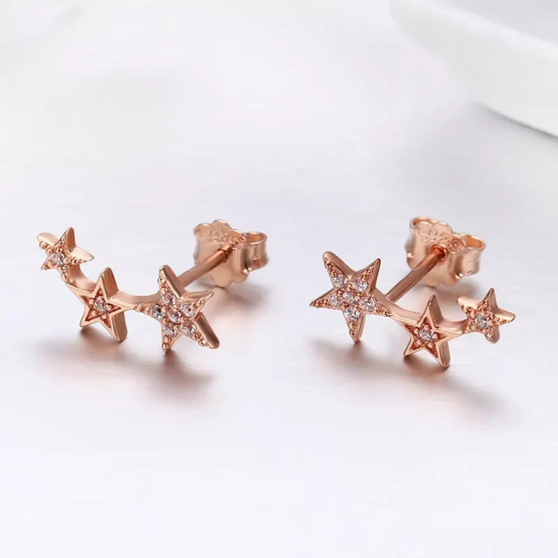 (resim) Pandora tarzı 14k rose altın kaplama Yıldızların Sırları Çi̇vi̇ küpeler - SCE291 - Görüntüle 4