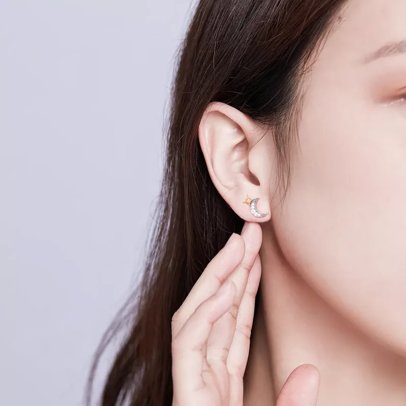 (resim) Pandora tarzı Ay Işığı Çi̇vi̇ küpeler - SCE729 - Görüntüle 5