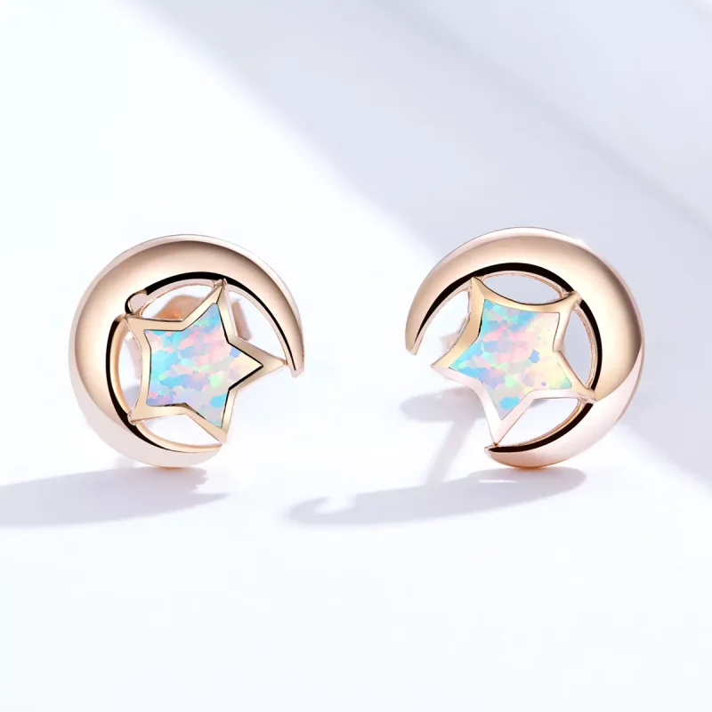 (resim) Pandora Stili Opal Ay Yıldızı Küpe - SCE816-C - Görüntüle 4